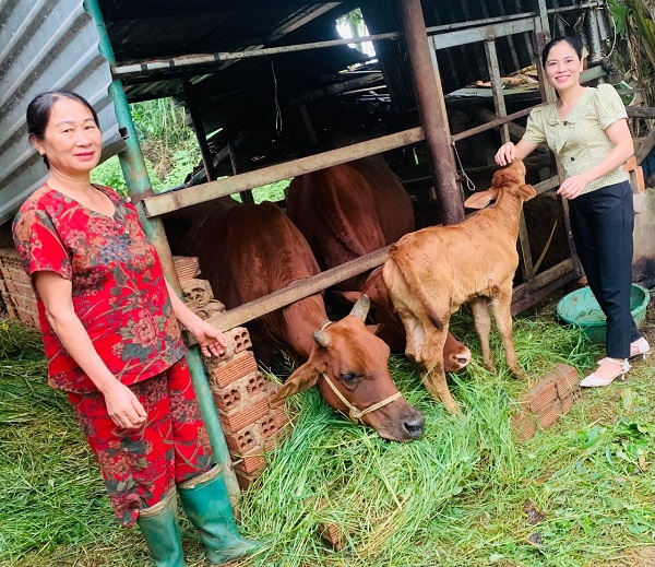 HIỆU QUẢ TỪ NGUỒN VỐN VAY CỦA NGÂN HÀNG CHÍNH SÁCH XÃ HỘI HUYỆN KRÔNG PẮC DO HỘI LHPN XÃ EA KLY QUẢN LÝ